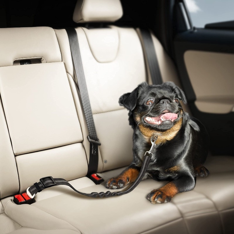 Set Harness Mobil Anjing yang  - Snap Fastener Set ulasan dan harga