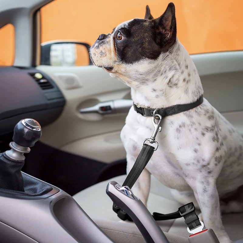 Set Harness Mobil Anjing yang  - Snap Fastener Set ulasan dan harga